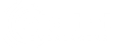 Cia TNT Embalagens